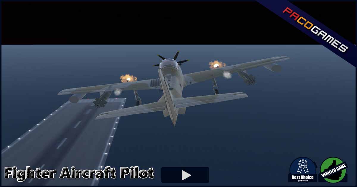 Fighter Aircraft Pilot